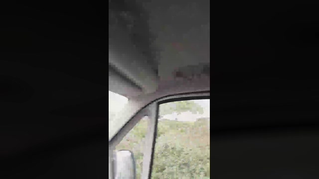 frenchtrucker01  08-03-2022